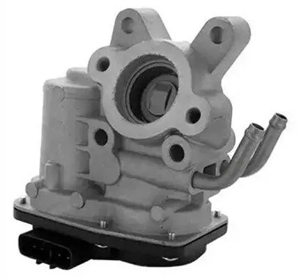 Agr-Szelep - MAGNETI MARELLI (EV141)