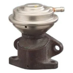 Agr-Szelep - MAGNETI MARELLI (EV085)