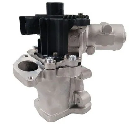 Agr-Szelep - MAGNETI MARELLI (EV106)
