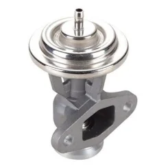 Agr-Szelep - MAGNETI MARELLI (EV119)