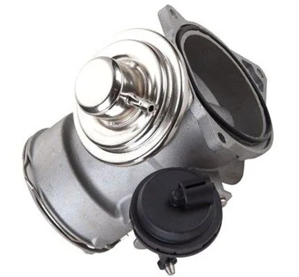 Agr-Szelep - MAGNETI MARELLI (EV149)