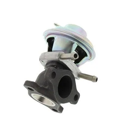 Agr-Szelep - MAGNETI MARELLI (EV064)