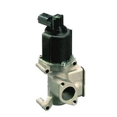 Agr-Szelep - MAGNETI MARELLI (EV065)