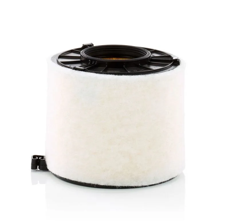 Légszűrő - MANN-FILTER (C17011)