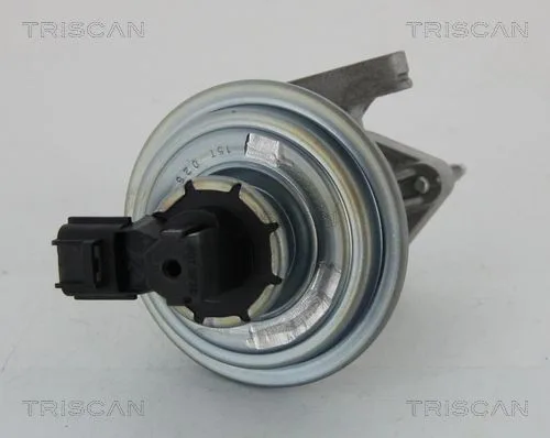 Agr-Szelep - TRISCAN (881316045)