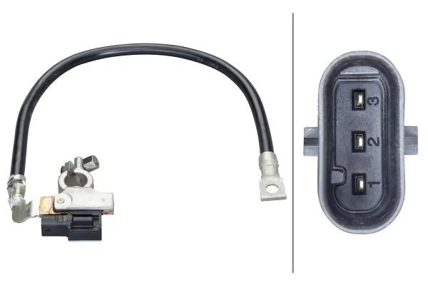 Érzékelő, Akkumulátor Management - HELLA (6PK010562-941)
