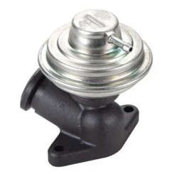 Agr-Szelep - MAGNETI MARELLI (EV102)
