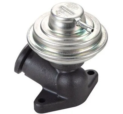 Agr-Szelep - MAGNETI MARELLI (EV102)