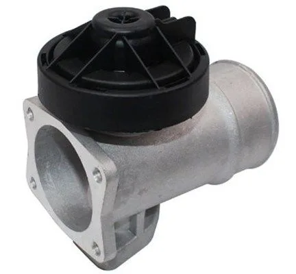 Agr-Szelep - MAGNETI MARELLI (EV121)