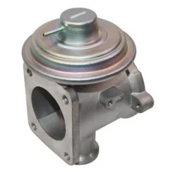 Agr-Szelep - MAGNETI MARELLI (EV093)