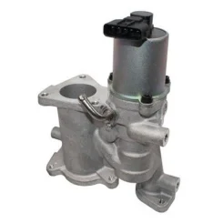 Agr-Szelep - MAGNETI MARELLI (EV134)
