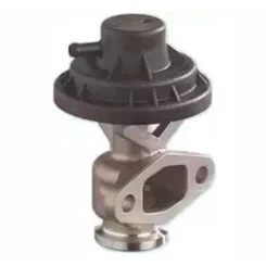Agr-Szelep - MAGNETI MARELLI (EV156)