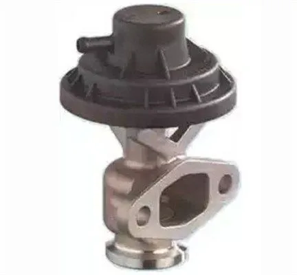 Agr-Szelep - MAGNETI MARELLI (EV156)