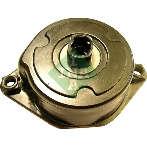 Feszítőkar, Hosszbordás Szíj - Schaeffler INA (534023910)