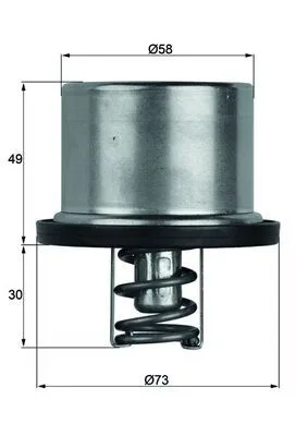 Termosztát, Hűtőfolyadék - MAHLE (TX3779)