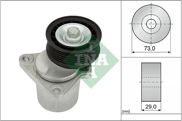 Feszítőkar, Hosszbordás Szíj - Schaeffler INA (534012820)