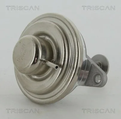 Agr-Szelep - TRISCAN (881324054)