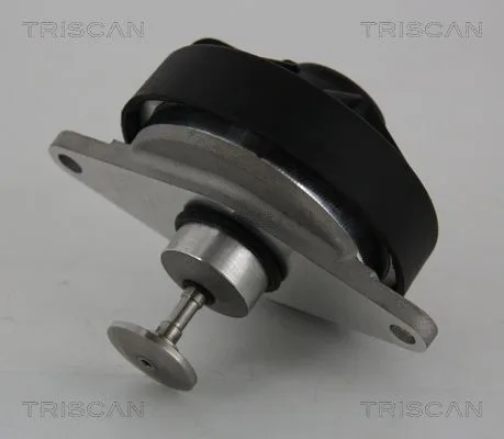 Agr-Szelep - TRISCAN (881324202)