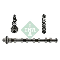 Vezérműtengely - Schaeffler INA (428012010)