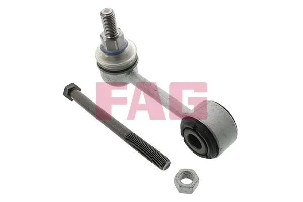 Rúd/Kar, Stabilizátor - Schaeffler FAG (818019610)
