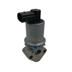 Agr-Szelep - MAGNETI MARELLI (EV071)