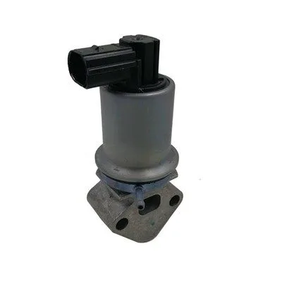 Agr-Szelep - MAGNETI MARELLI (EV071)