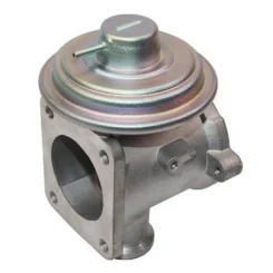 Agr-Szelep - MAGNETI MARELLI (EV094)
