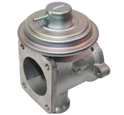 Agr-Szelep - MAGNETI MARELLI (EV094)