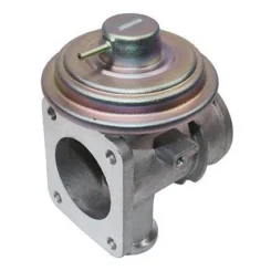 Agr-Szelep - MAGNETI MARELLI (EV095)