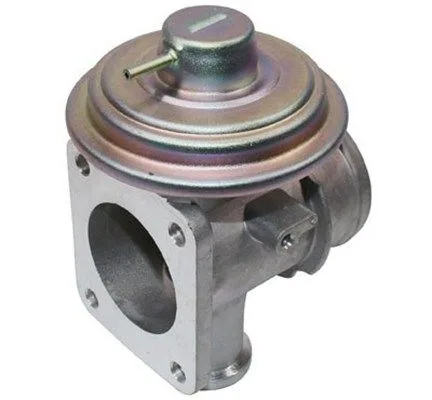 Agr-Szelep - MAGNETI MARELLI (EV095)