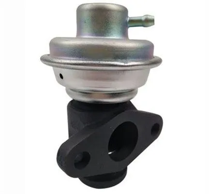 Agr-Szelep - MAGNETI MARELLI (EV113)