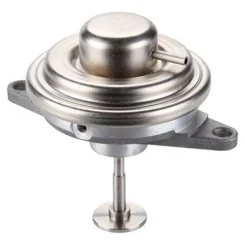 Agr-Szelep - MAGNETI MARELLI (EV131)