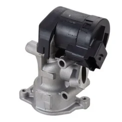 Agr-Szelep - MAGNETI MARELLI (EV098)