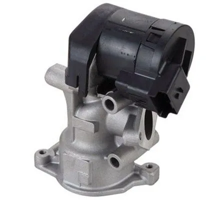 Agr-Szelep - MAGNETI MARELLI (EV098)