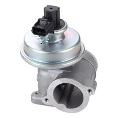 Agr-Szelep - MAGNETI MARELLI (EV109)