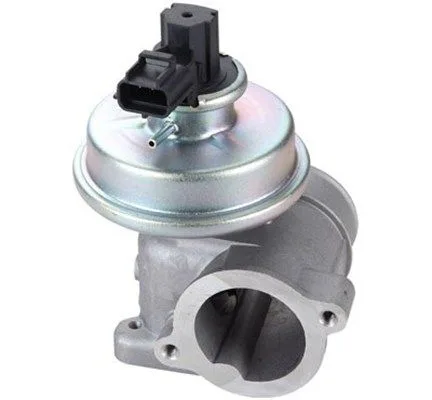 Agr-Szelep - MAGNETI MARELLI (EV109)