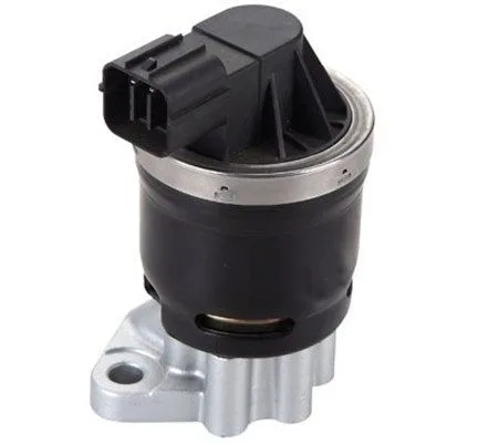 Agr-Szelep - MAGNETI MARELLI (EV116)