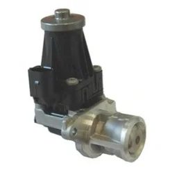 Agr-Szelep - MAGNETI MARELLI (EV072)