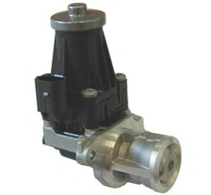 Agr-Szelep - MAGNETI MARELLI (EV072)