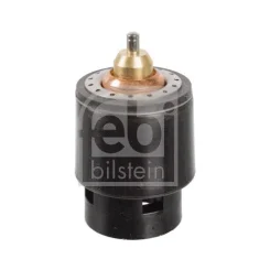 Termosztát, Hűtőfolyadék - FEBI BILSTEIN (FE108185)