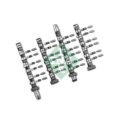 Vezérműtengely Készlet - Schaeffler INA (428003830)