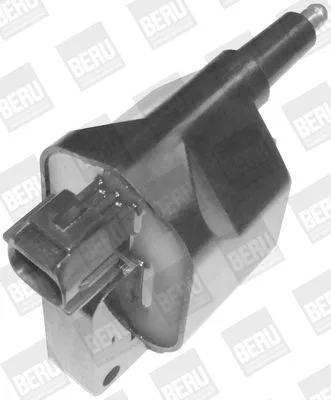 Gyújtótekercs - BorgWarner (BERU) (BERZS396)