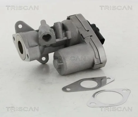 Agr-Szelep - TRISCAN (881310002)