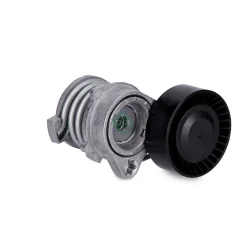 Feszítőkar, Hosszbordás Szíj - Schaeffler INA (534005010)