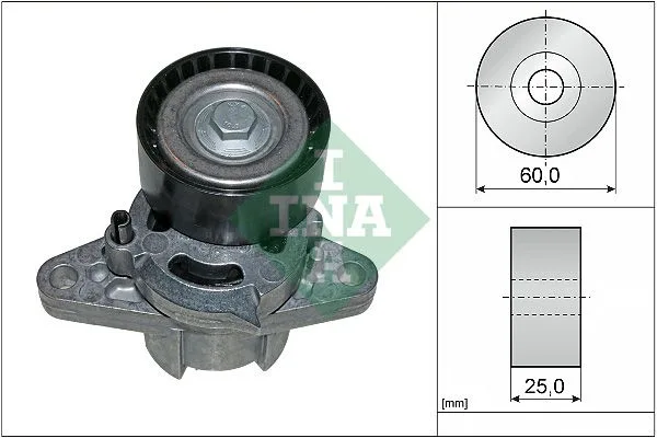 Feszítőkar, Hosszbordás Szíj - Schaeffler INA (534027110)