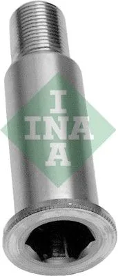 Csapágycsap, Feszítőgörgő Kar - Schaeffler INA (533006420)