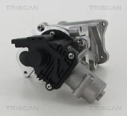 Agr-Szelep - TRISCAN (881310007)