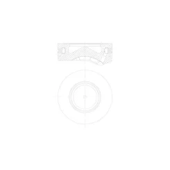 Dugattyú - MAHLE (081PI00105000)
