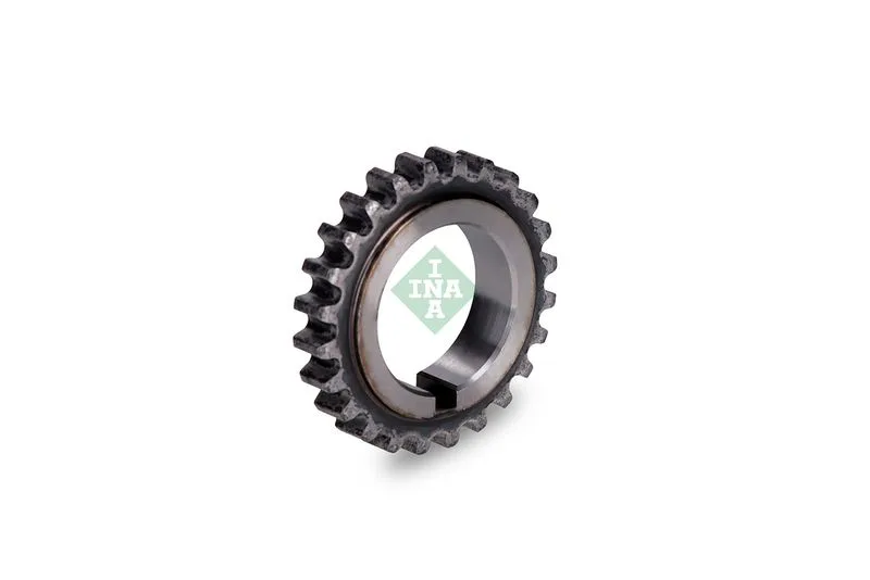 Fogaskerék, Főtengely - Schaeffler INA (554011910)
