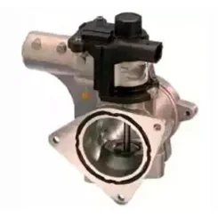 Agr-Szelep - MAGNETI MARELLI (EV154)